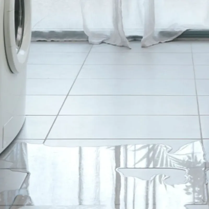 Appliance Leak Cleanup in Sunrise, FL